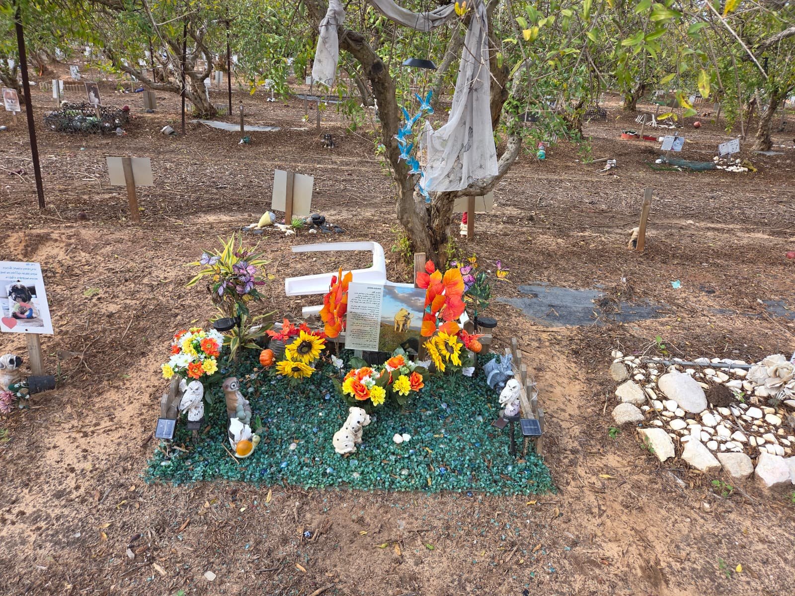 בית קברות פט ברי