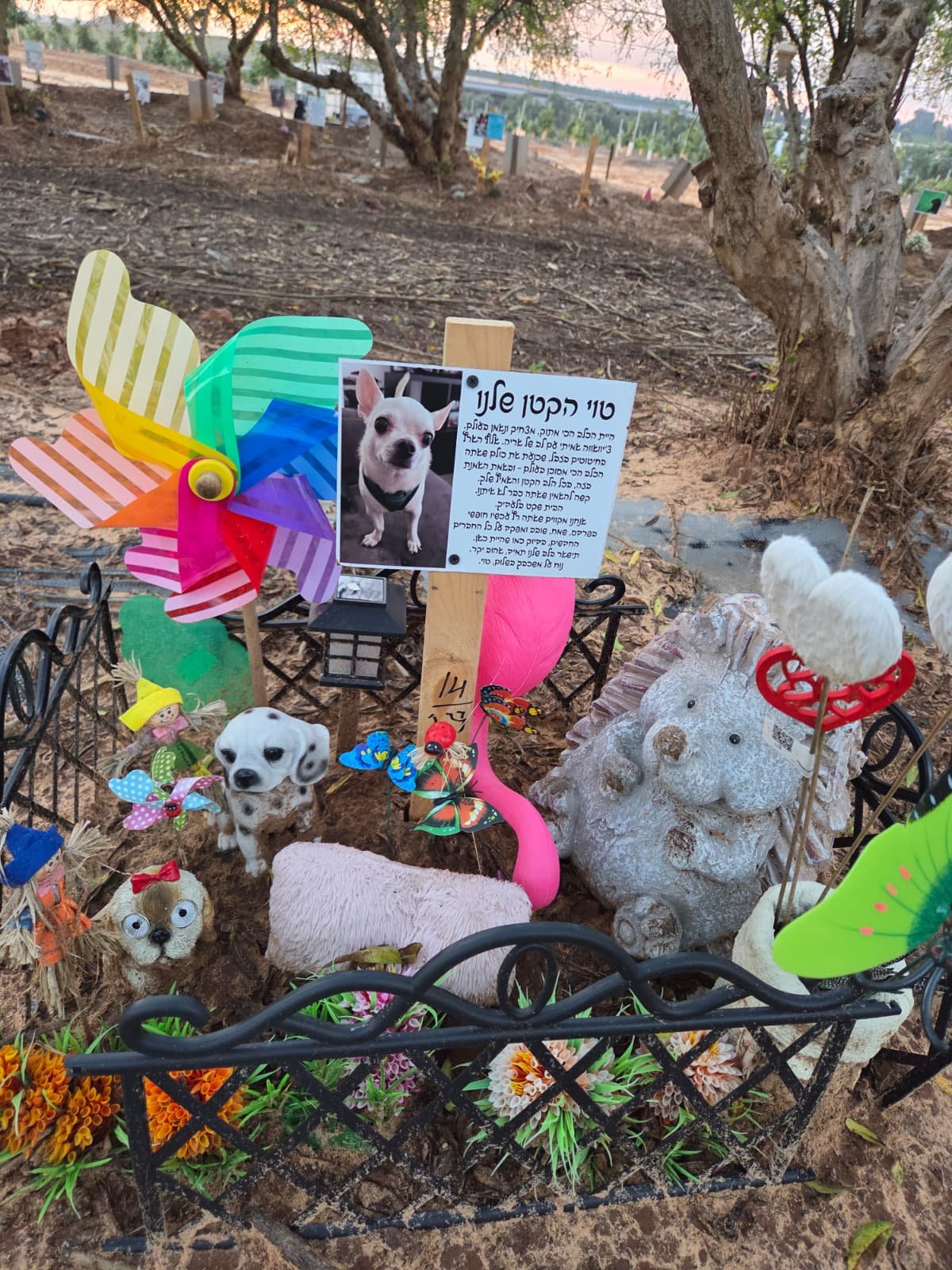 חלקת קבר לכלב טוי