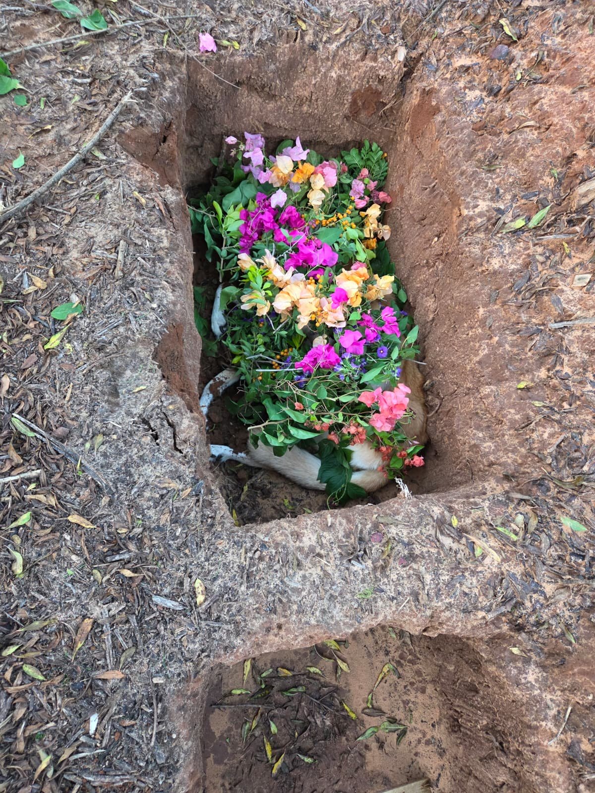 רגע הקבורה של לני